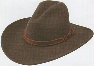 felt cowboy hat with ear flaps