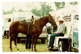 horse@rodeo.jpg (19278 bytes)