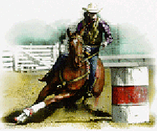 barrelracer.gif (29445 bytes)